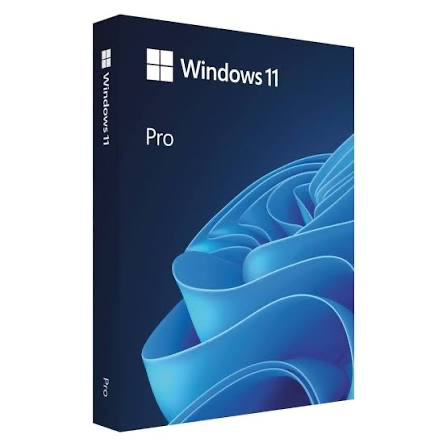 Windows 11 pro 